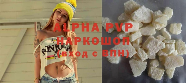 МДПВ Бородино