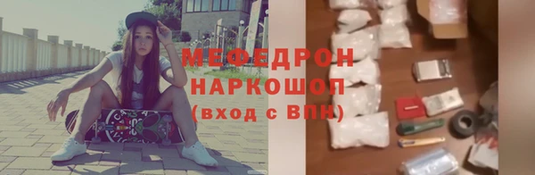 МДПВ Бородино