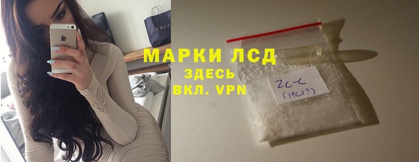 МДПВ Бородино