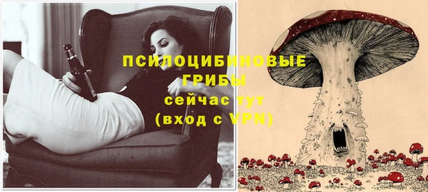 мет Верхний Тагил