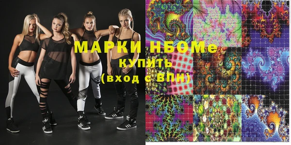 МДПВ Бородино