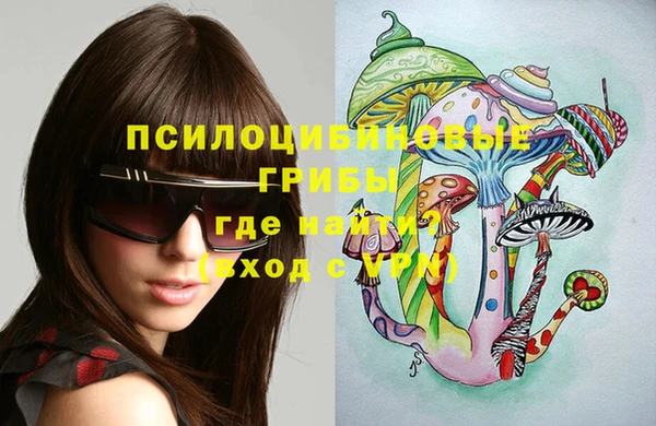 МДПВ Бородино