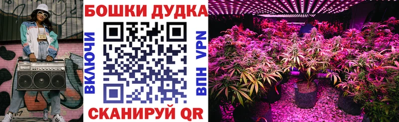 Бошки марихуана Bruce Banner  магазин    Дальнегорск 